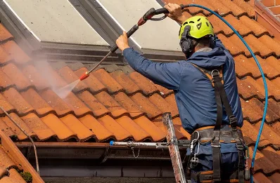 Démoussage et hydrofuge de toiture à Fouju